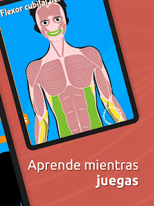 Imágen 17 Atlas Anatomía: Cuerpo Humano android