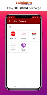 E Digital Pe