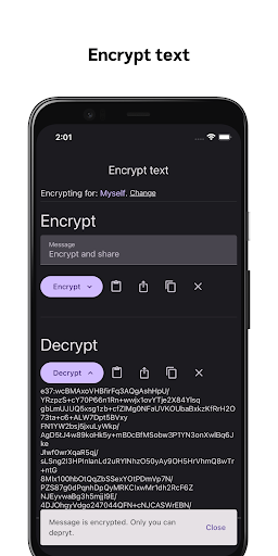 Encrypt37: Encrypt and share Screen 2