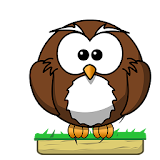 Owl Pounce icon