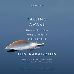 Obraz ikony: Falling Awake: How to Practice Mindfulness in Everyday Life
