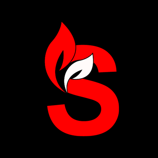 Safe logo