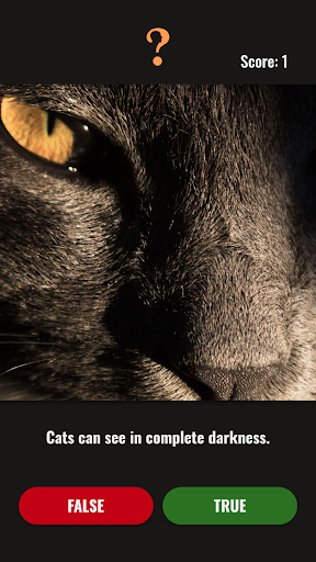 Quiz Trivia of Cats and Birds