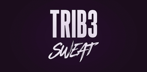 TRIB3 SWEAT