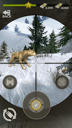 Wilderness Hunting：Shooting Prey Game poster 14