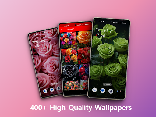 Rose flower wallpapers offline Screen 2