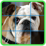 Dog Slide Puzzle icon