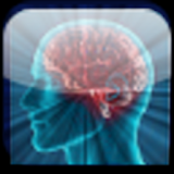 Brain Age Test Free icon