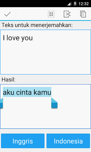 Indonesian Translator Pro Screenshot