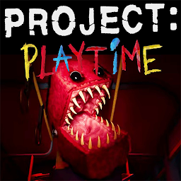 Project Multiplayer Playtime