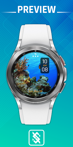 Android application BFF13-Animation Tropical Fish screenshort