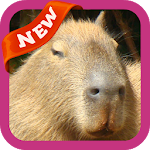 Cover Image of Download Capybara Wallpaper 3.0 APK