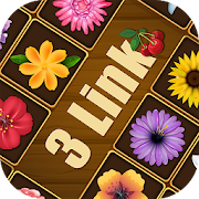 3 Link