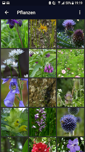 Hintergrundbilder Screen 3