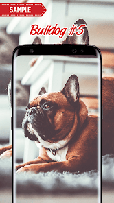 Captura de Pantalla 5 Bulldog Wallpaper android
