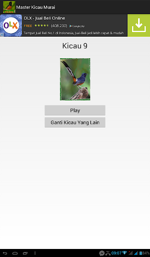 Master Kicau Murai Screen 3