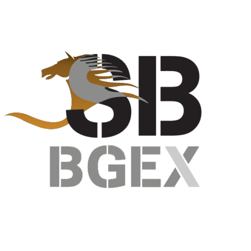 BgexAPP logo