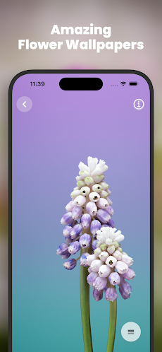 Cool Flower Wallpapers 4K | HDのおすすめ画像4