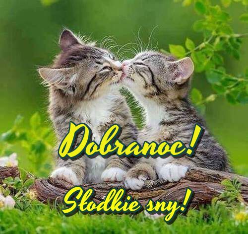 Android application Dobranoc! screenshort