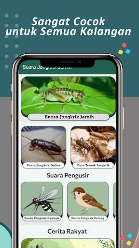 Suara Jangkrik Jernih Screen 2