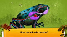 How do Animals Work?のおすすめ画像3