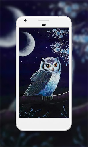 Owl Wallpapers