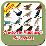 Canto do Pássaros Silvestres Offline icon