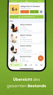 ChickenCloud