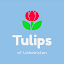Tulips of Uzbekistan