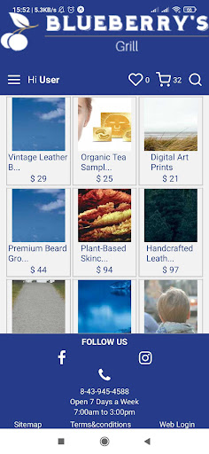 Blueberry Online Store Screen 3