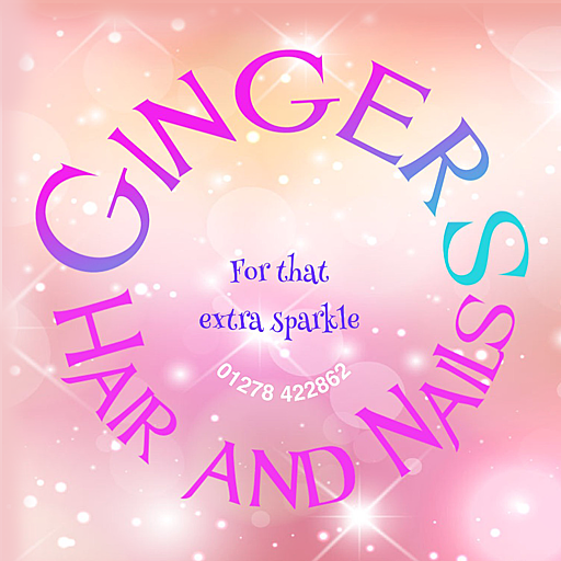 Gingers Hair and Nails logo