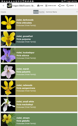 Screenshot of Oregon Wildflowers