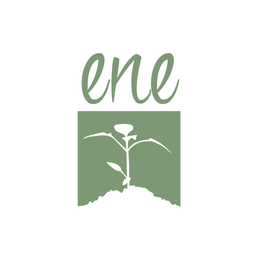Église Nouvel Espoir logo