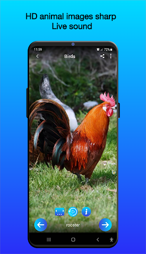 Screenshot of Animal Sounds