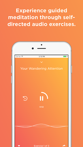 Levelhead: Mindfulness App Screen 3