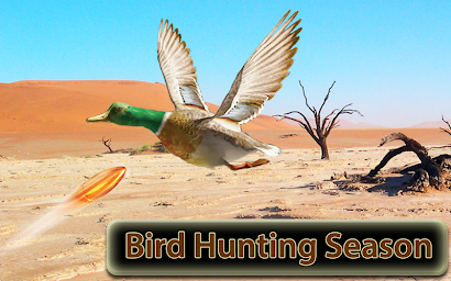 Desert Birds Sniper Shooter 3D