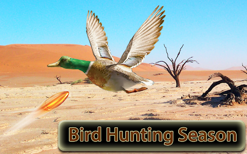 طيور الصحراء قناص مطلق النار 3D 1