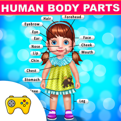 Get Kids Learning Human Bodyparts  for Android Aso Report