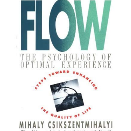 The Psychology Of Optimal Expe