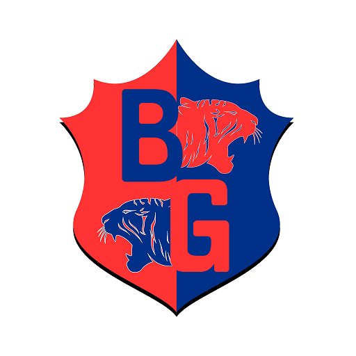 Bheemguard logo