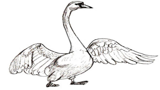 Android application Drawing Animal Guide screenshort