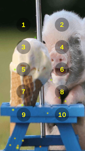 Pig Oink Livestock Soundboard Screen 3