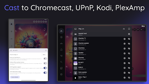 Screenshot of Symfonium: Music player & cast