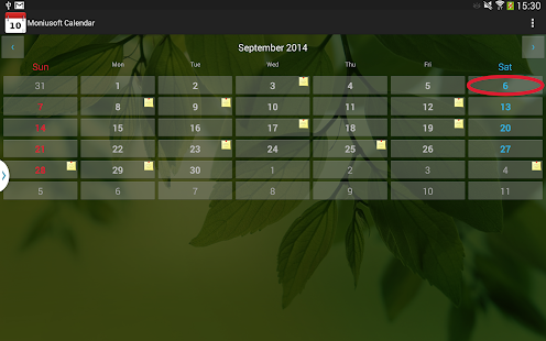 Moniusoft Calendar Screenshot