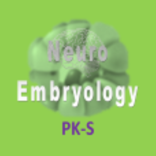 NeuroEmbryology MCQs P logo