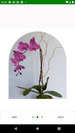 Anggora Nursery - Plants