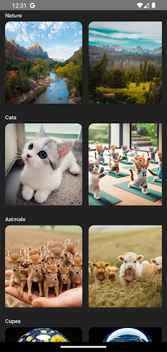 Android application Wallpapers screenshort
