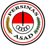 Persinas Asad icon