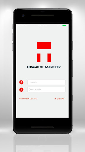 Teramoto Asesores Screen 2