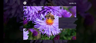 Game screenshot Picture Puzzle LF apk download